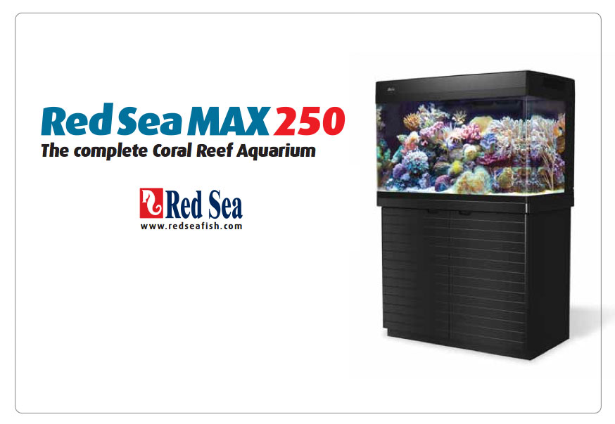 red-sea-max