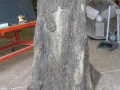 oaktreefull-jpg