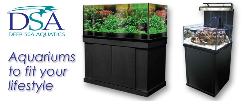 DSA Aquariums Shreveport